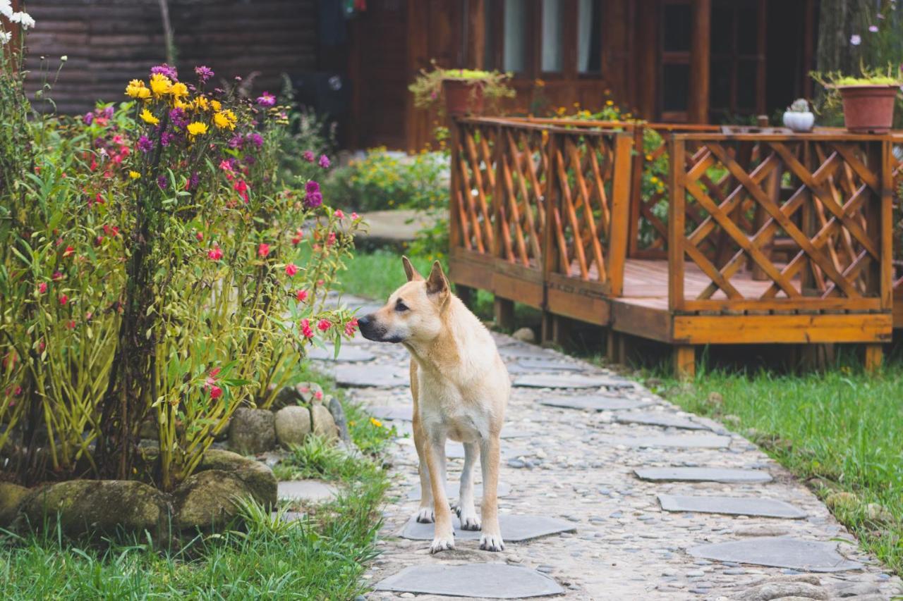 Homestay So 91-Suoi Ho Sa Pa Esterno foto