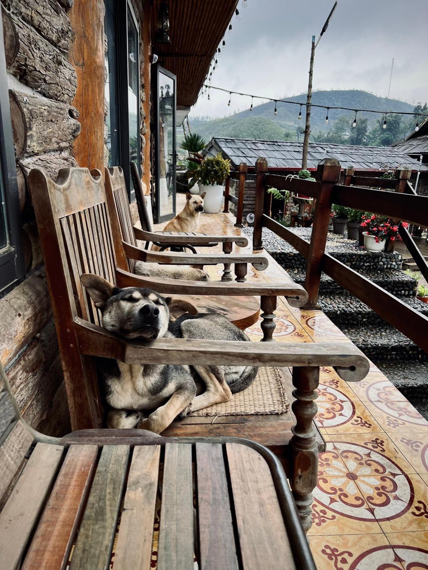 Homestay So 91-Suoi Ho Sa Pa Esterno foto