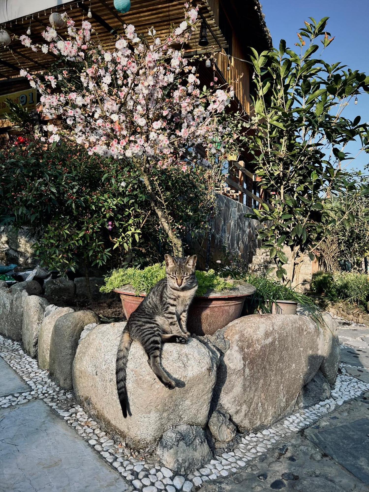 Homestay So 91-Suoi Ho Sa Pa Esterno foto
